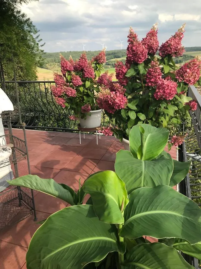 Hotel Haus Buena Vista Bad Kissingen 4*,  Deutschland